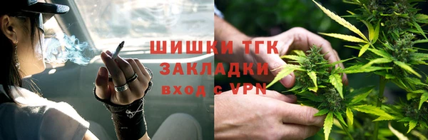 ешки Аркадак