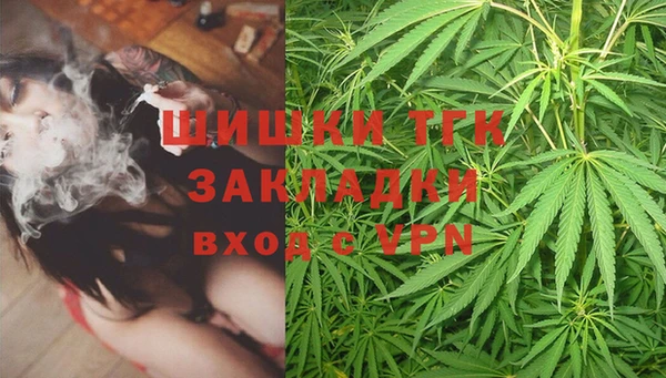 ешки Аркадак