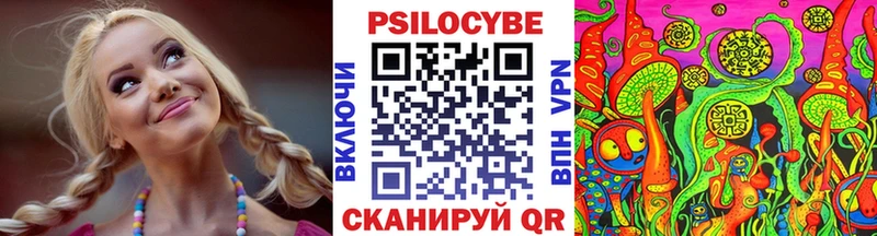 Галлюциногенные грибы Cubensis  магазин продажи наркотиков  сайты даркнета как зайти  Новоузенск 