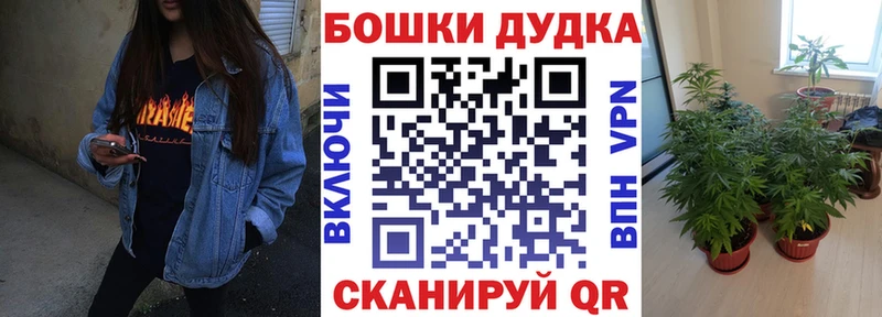 Марихуана ГИДРОПОН  купить  цена  Новоузенск 